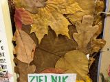 Jesienne zielniki w klasie 2c, 