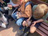Dzień Dziecka w edukacji wczesnoszkolnej,