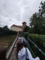 Klasy 5e, 5b oraz 5d w Krakowie,