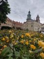 Klasy 5e, 5b oraz 5d w Krakowie,