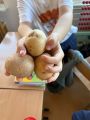 Zajęcia kulinarne w 2c,